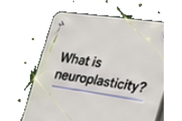 Stack of study flashcards